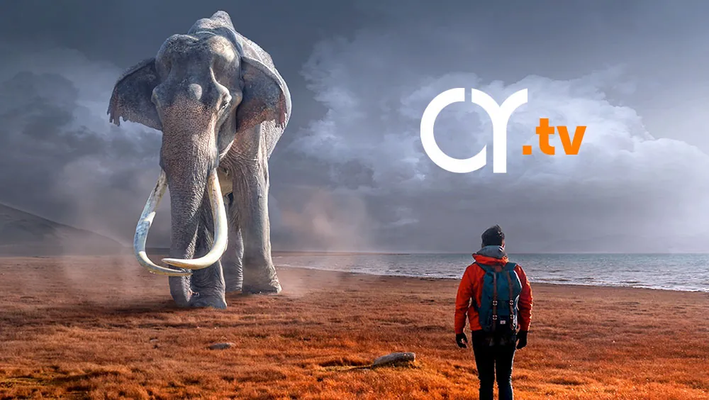 Zukünftige Videokommunikation für Unternehmen