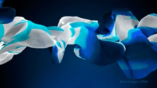 The blue dragon pattern movement by COGGY