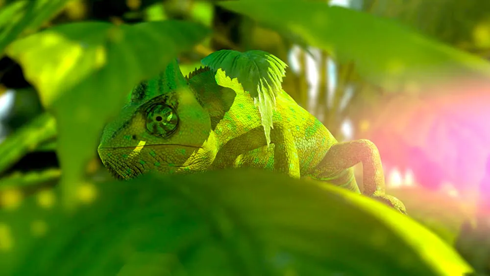 COGGY Filmproduktion Magdeburg – CRM-Software, ein Chamäleon hinter Blättern