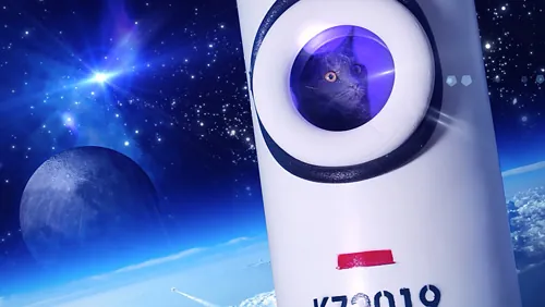 Webvideo Katzen im Weltall | Cats in space